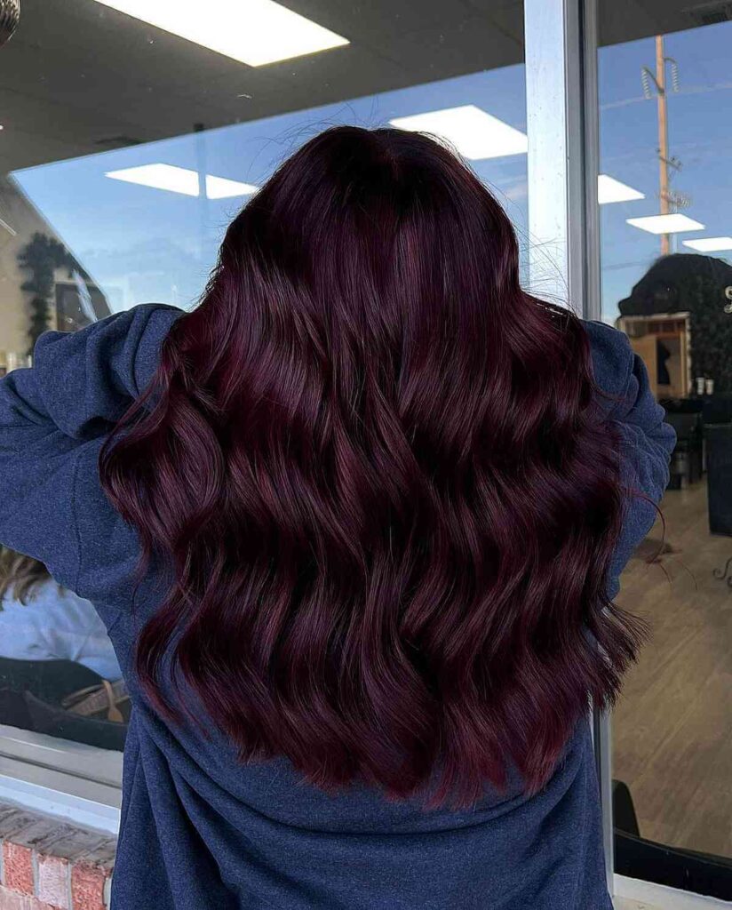 Dark Burgundy